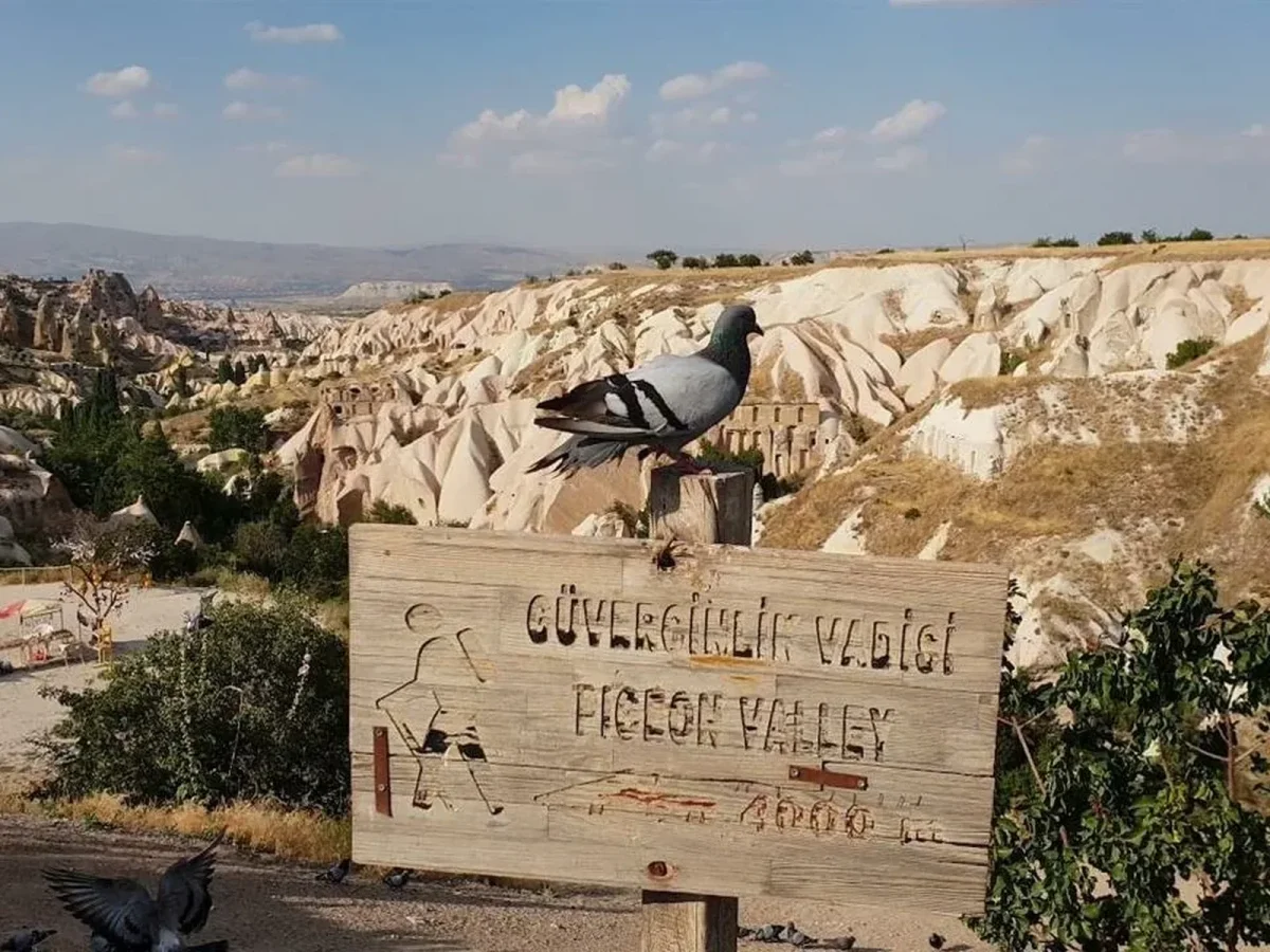 Pigeon valley panorama on Cappadocia green tour