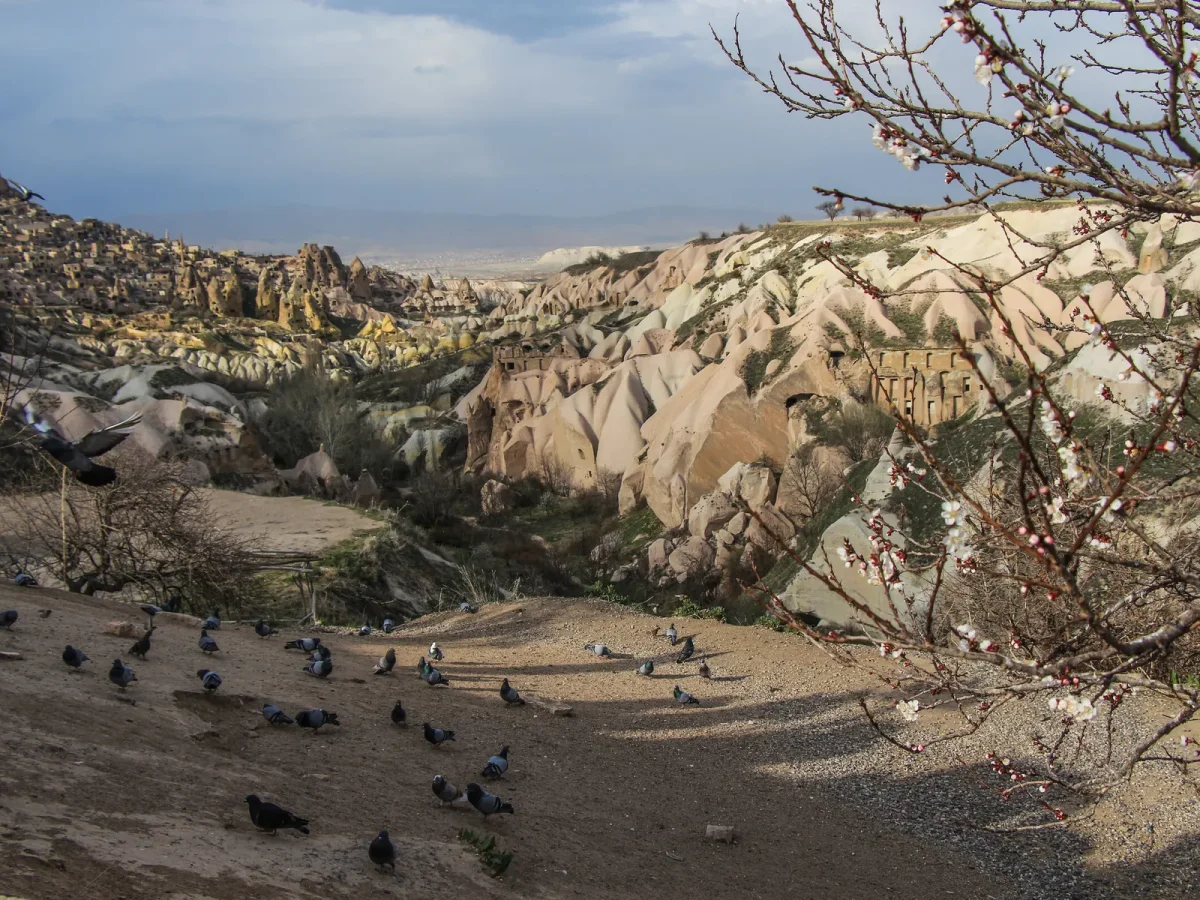 Rock carved pigeon houses in Cappadocia