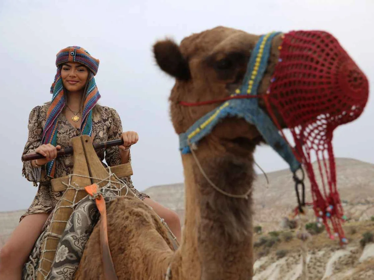 Traveler and decorated camel photographed during a Cappadocia daytime safari