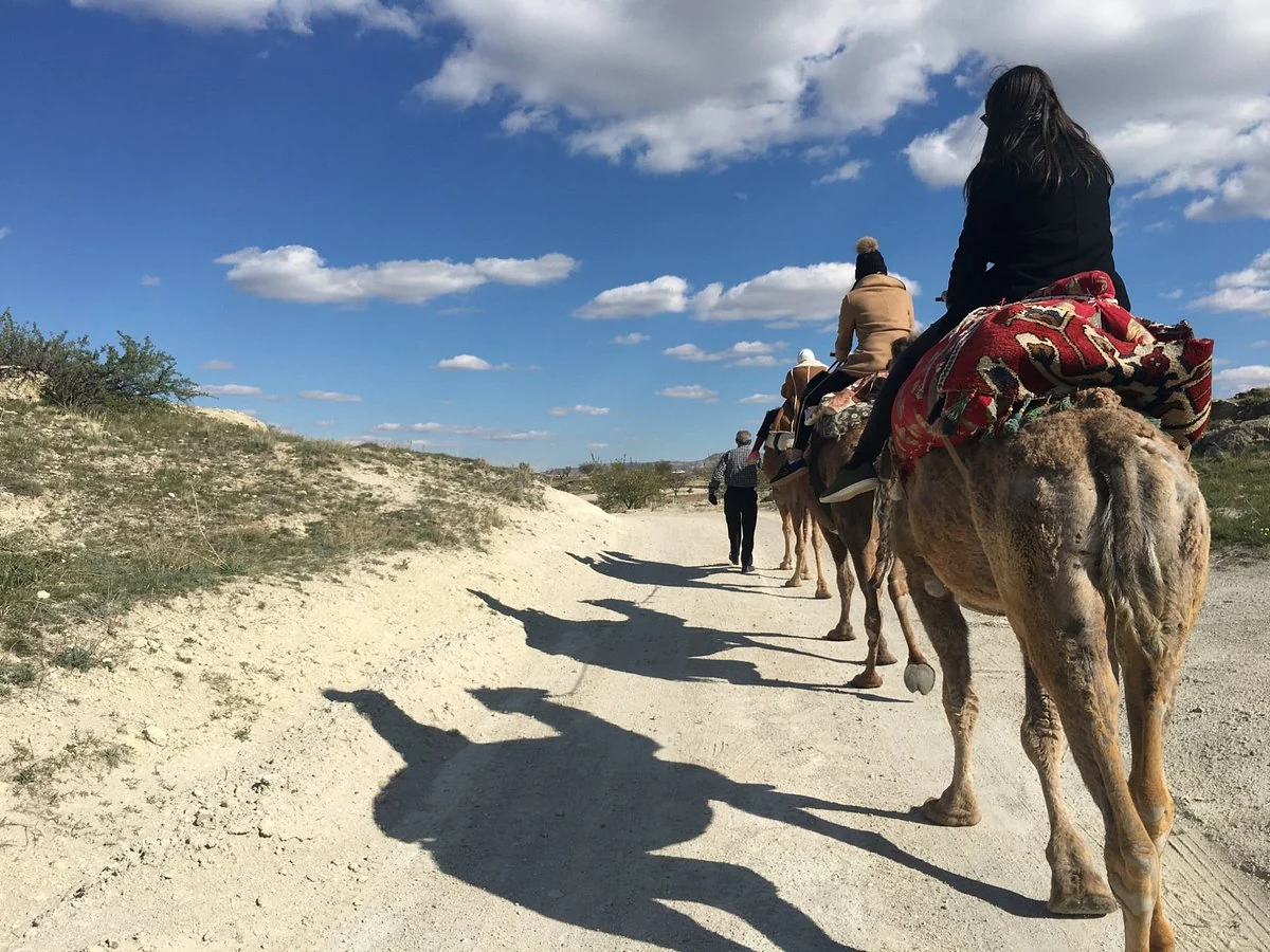 Camel caravan following a scenic trail through Cappadocia during the day