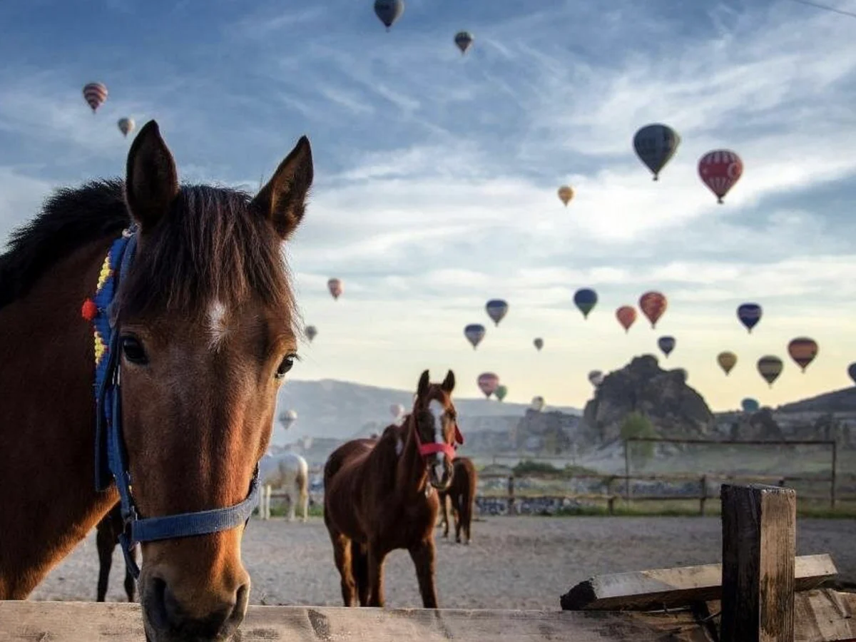 Horse riders in Cappadocia at sunrise with hot air balloons in the sky