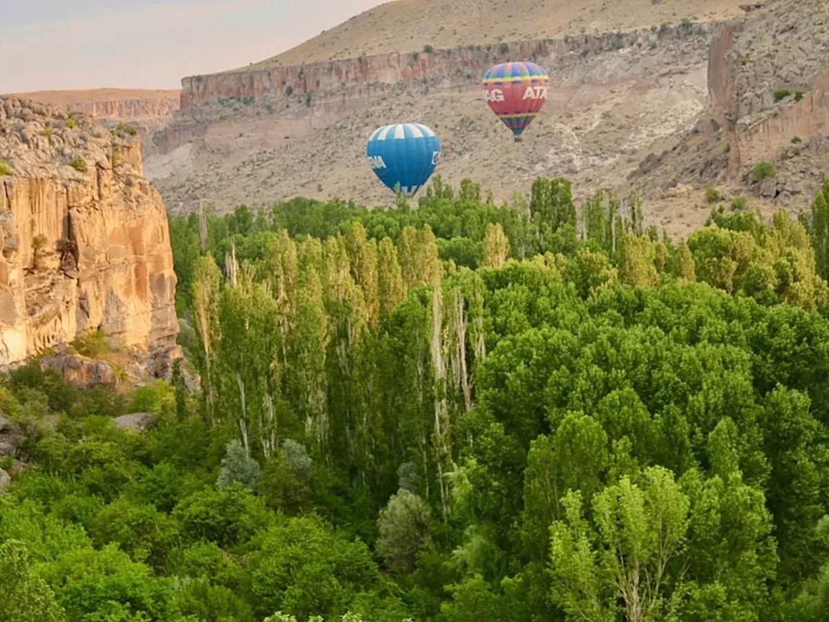 Hot air balloons flying over green Ihlara Valley in Cappadocia