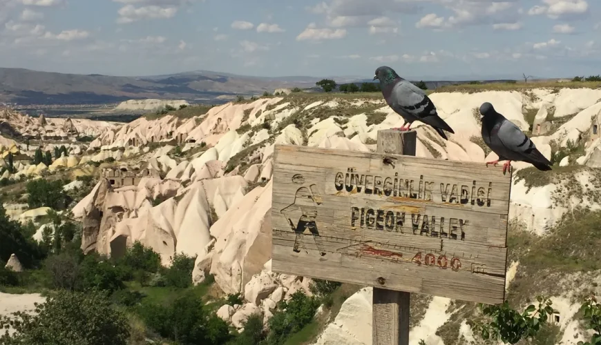 Pigeon Valley viewpoint with pigeons in Cappadocia