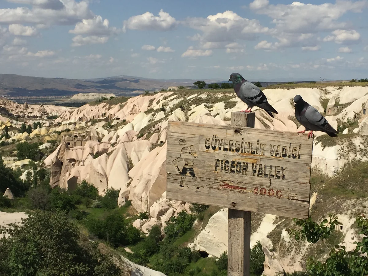 Pigeon Valley viewpoint with pigeons in Cappadocia