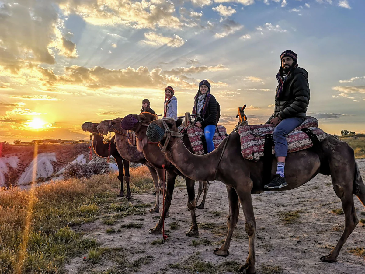 Guests posing on camels above the Cappadocia valleys at sunset